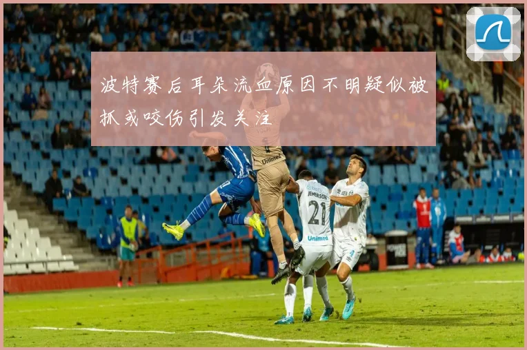 波特赛后耳朵流血原因不明疑似被抓或咬伤引发关注