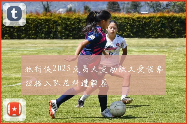 独行侠2025交易大变动欧文受伤弗拉格入队尼科遭解雇