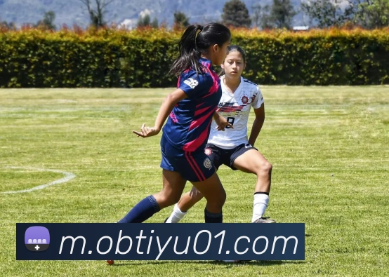 ob体育平台生态图