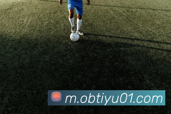 ob体育APP 封面图